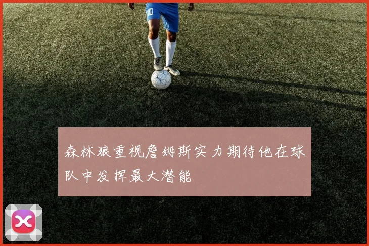 森林狼重视詹姆斯实力期待他在球队中发挥最大潜能
